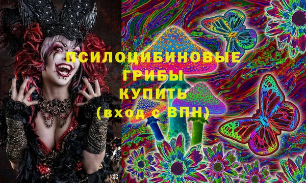 apvp Баксан