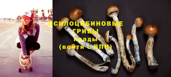 молекула духа Осинники