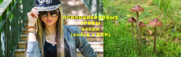 прущие крисы Балабаново