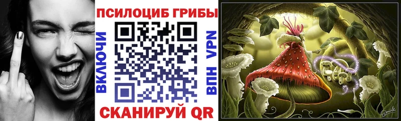 купить закладку  mega tor  Галлюциногенные грибы Psilocybe  Сим 